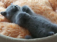 인형인 줄 알았다