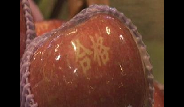 '수능 합격' 사과가 2만원, 바가지 상혼