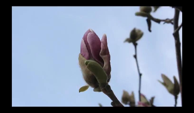 편정원의가요산책2