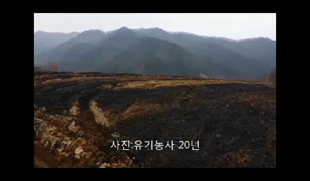 숯가루[차콜] 농법으로∼∼∼