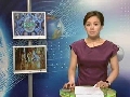 '촬영거부' 한예슬 입국,