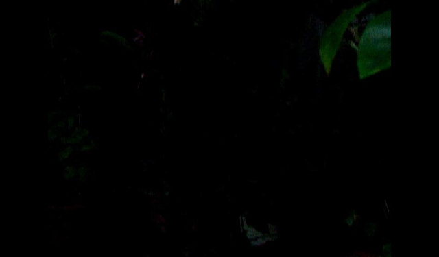 사진으로 만나는 여름 이야기 14부