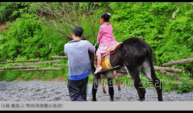체험학습 갈만한 곳