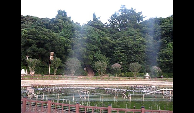 여수 오동도 음악분수 