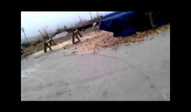 궁이와 궐이의 이야기