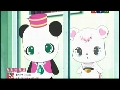 쥬얼펫 트윙클 40화-반짝반짝 데굴데굴! 그것을 찾아라!