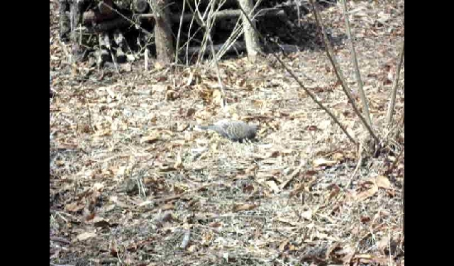 삼성산성지 둘레길