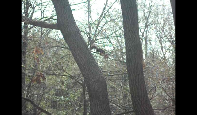 삼성산성지 둘레길