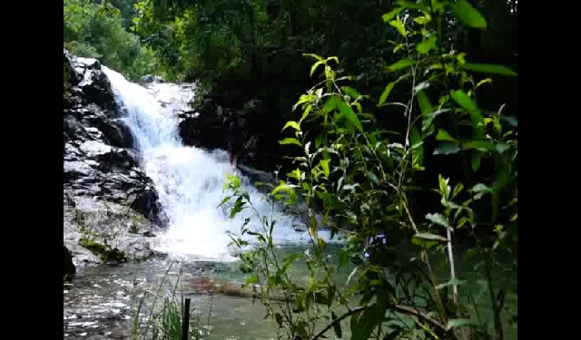 약사령 미니폭포