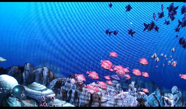 여수엑스포 -디지털 갤러리-