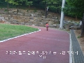 자전거 일찍 가르친건 짠한 아빠의 사랑