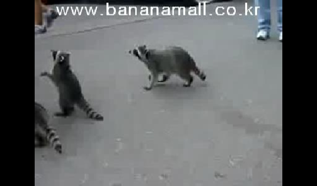 ���ݵ����� �̸����� �̹���