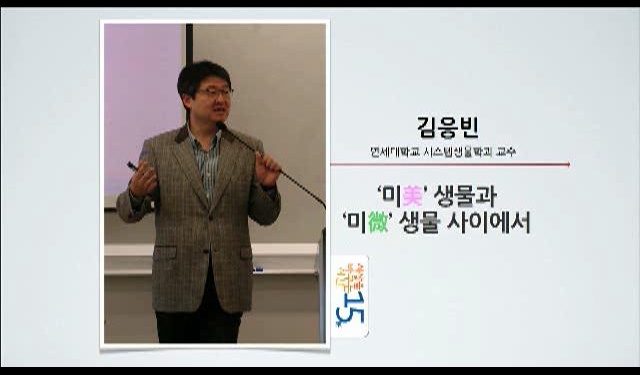 영상 화면
