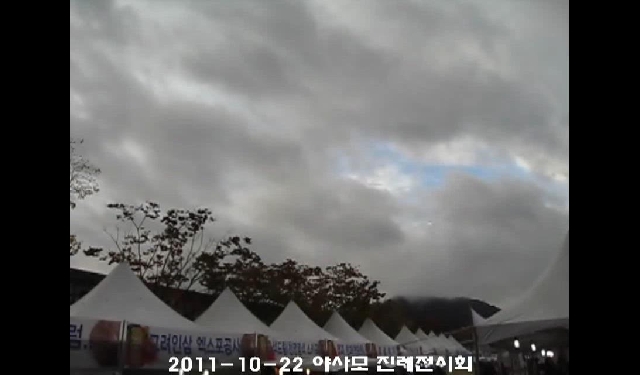 야생화사진 전시회