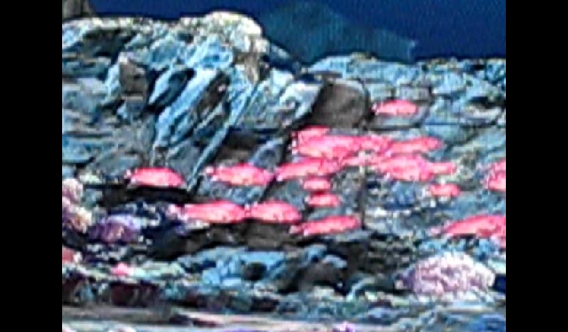 여수 엑스포 입체 영상 아쿠아리움