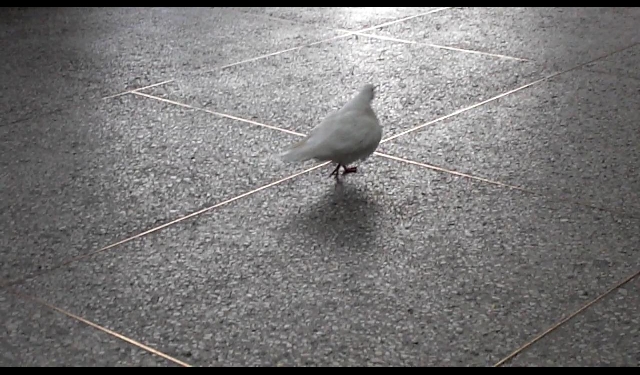 지리산길6 주천부터 광의 난동 까지