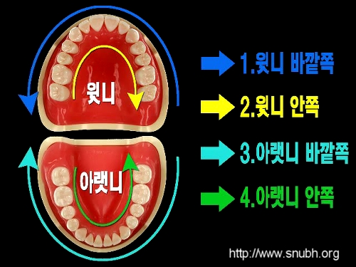 올바른 칫솔질, 이렇게 하세요~