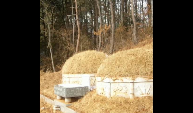 어머님 대상일에 ......(2012년5월26일)