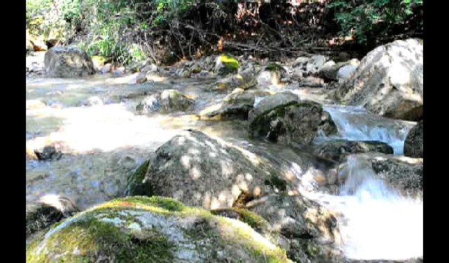 제천동산계곡물소리