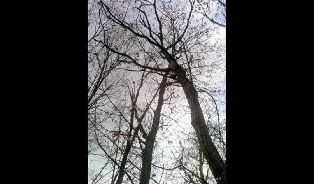 이 추운 겨울 연삼 (약초)산행을 다녀왔다.